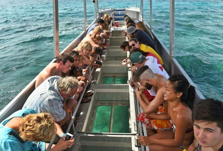 Tourists look through a glass-bottomed boat at the sea life on Australia's Great Barrier Reef