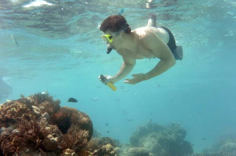 Tourists to the Great Barrier Reef generate revenues of $4.3 billion (Aus$5.9 billion) and support 64,000 local jobs