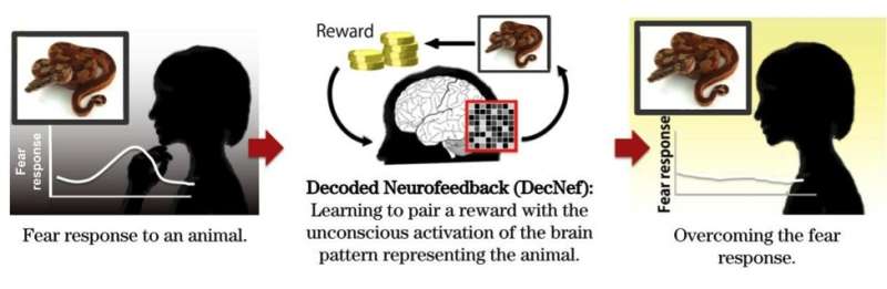 Towards an unconscious neural reinforcement intervention for common fears