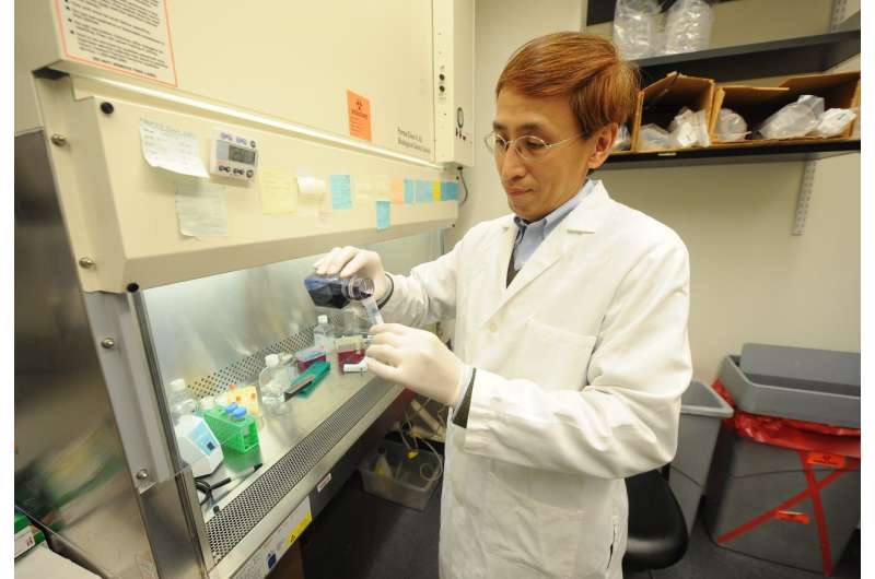 Tracking protein disposal could lead to improved therapies