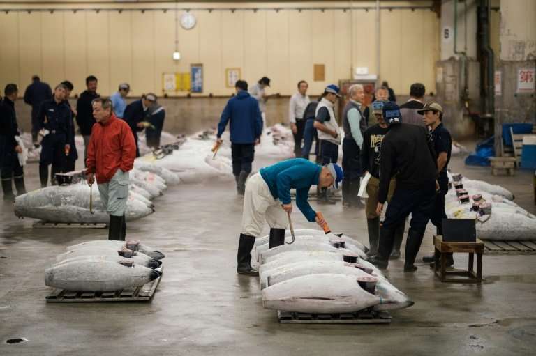 Tsukiji's tuna auctions have regularly produced eye-watering prices, including a record 155.4 million yen ($1.8 million) paid fo