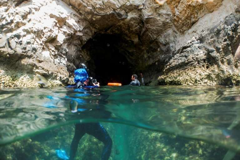 Tucked under white rocks by the town of Peyia in southwest Cyprus, caves provide sanctuary to some of the seven to 10 monk seals