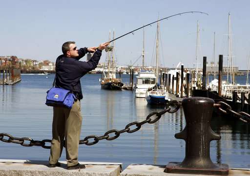 Tumor-free flounder: Study underscores Boston Harbor rebirth