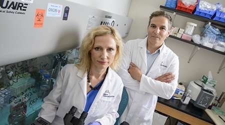 UA Cancer Center team targets tumor suppressor to treat 'triple-negative' breast cancer