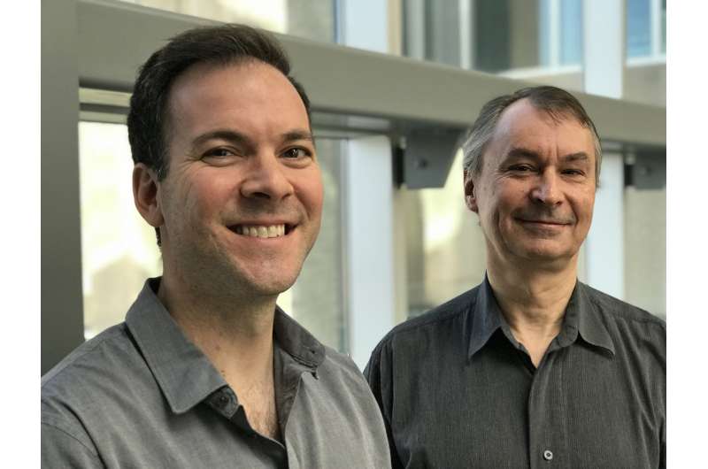 UCalgary scientists discover a new way to battle multiple sclerosis