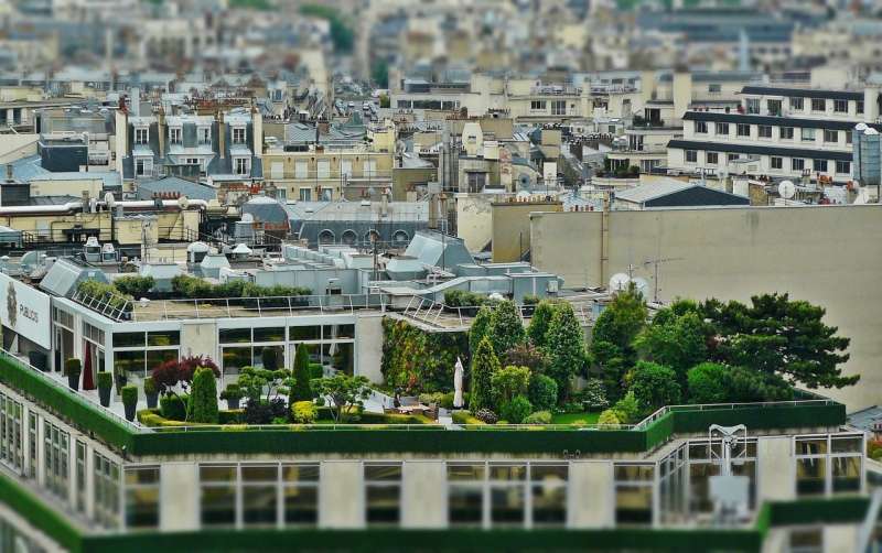 urban garden