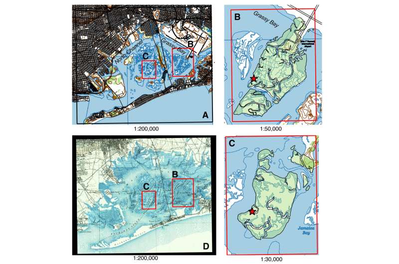Urbanization is cutting off life support to NYC's wetlands