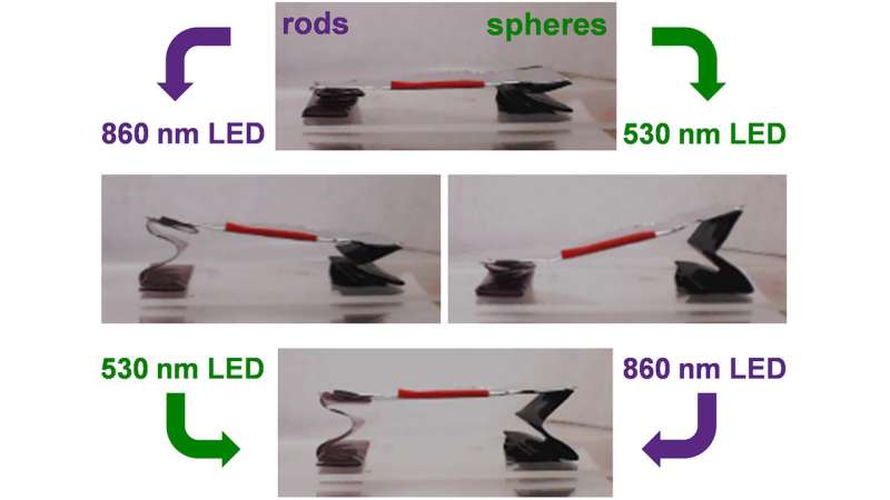 Using Gold Nanoparticles to Trigger Sequential Unfolding of 3-D Structures