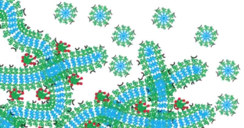Using injectable self-assembled nanomaterials for sustained delivery of drugs