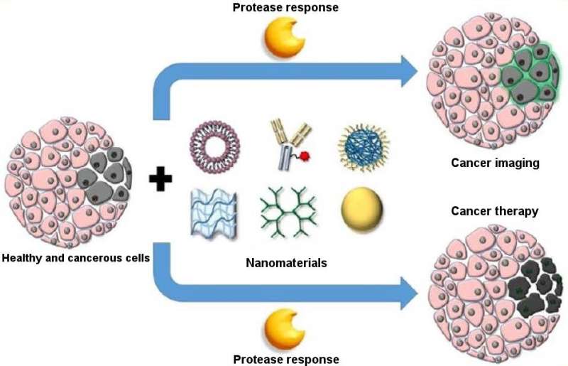 Using nanomaterials that respond to cancer-specific stimuli for targeted delivery of treatments and imaging compounds