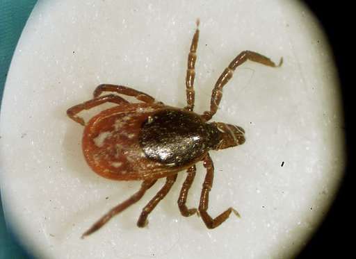 US officials report a record number of tick diseases