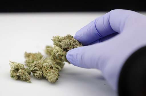 Utah's state-funded study of pot's effects on pain delayed
