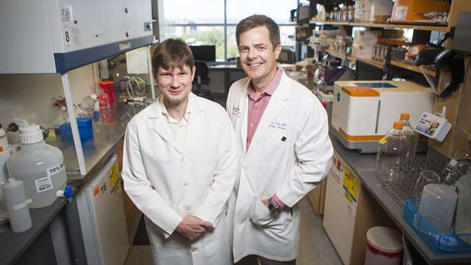Vanderbilt team finds potent antibodies against three Ebola viruses