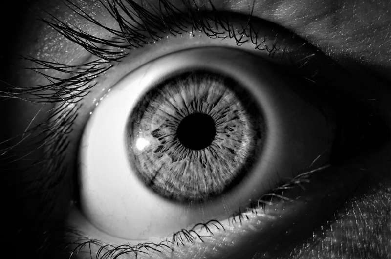 New research sheds light on vision loss in Batten disease thumbnail