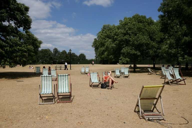 Visitors set out deck chairs on the parched grass of London's Hyde Park