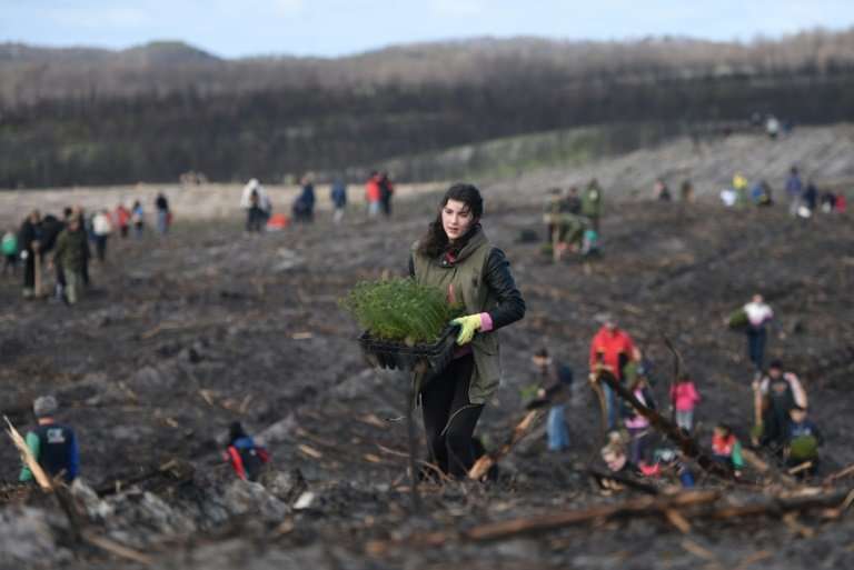 Volunteers have begun planting the first of 22 million trees needed to bring Portugal's oldest forest back to life