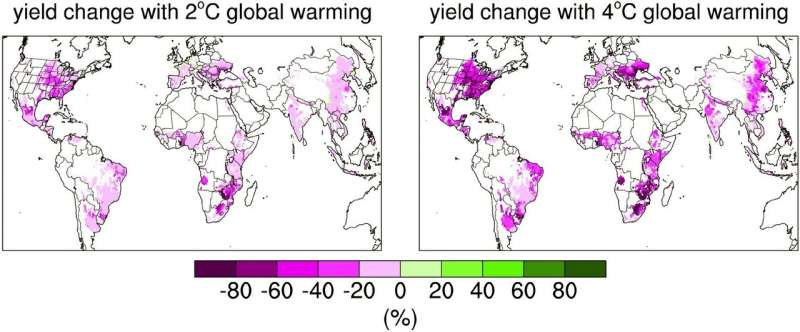 Warmer climate will dramatically increase the volatility of global corn crops