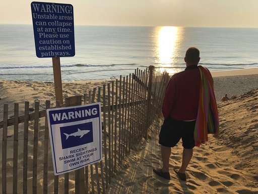 Was a great white shark to blame for Cape Cod attack?