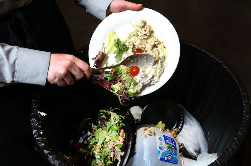 Wasting food may be safe, reasonable decision for some, study says