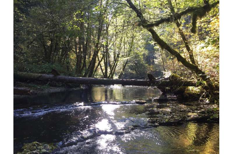 **Watershed groups have had a positive impact on their local water quality, study finds