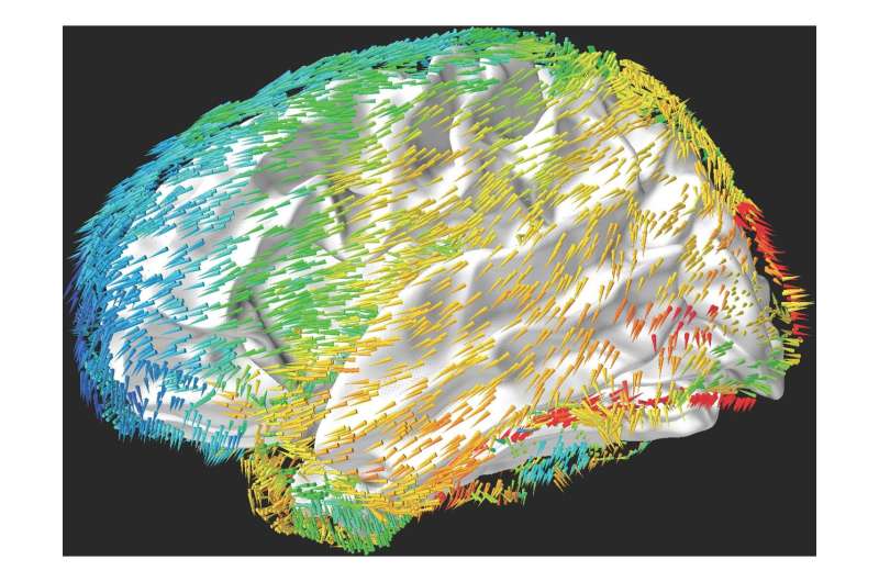 Waves move across the human brain to support memory