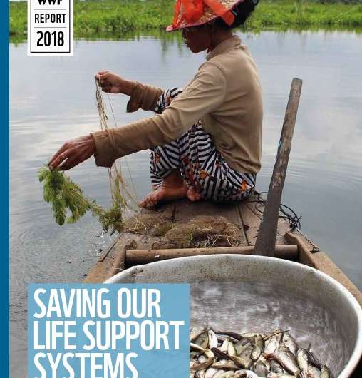 Wetlands, our life support systems, need more than drip-by-drip assistance, warns new report