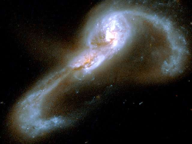 What powers the most luminous galaxies?