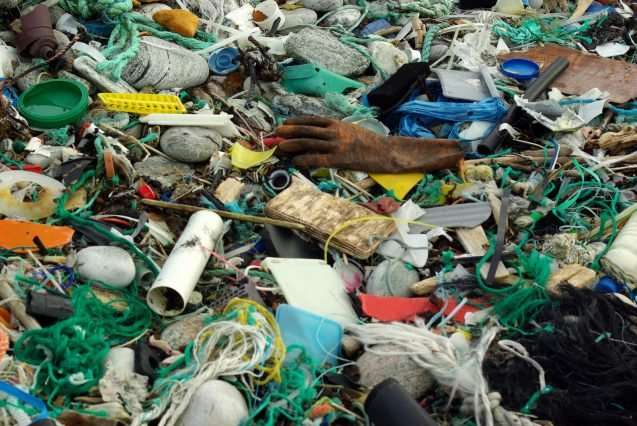 What you can do to fight plastic pollution