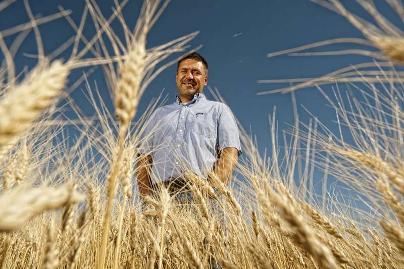 Wheat genome blueprint accelerates innovation