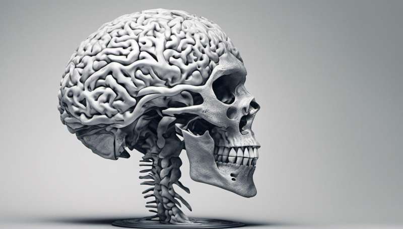 Why do humans have such large brains? Our study suggests ecology was the driving force