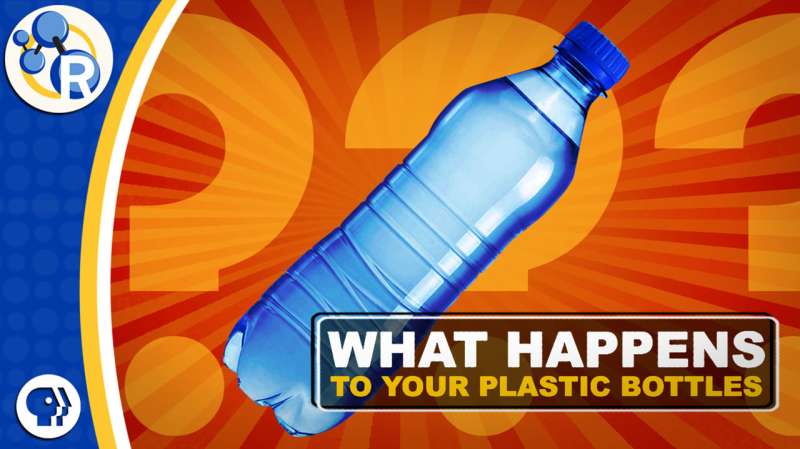 Why plastic bottles are recycled into clothes (video)