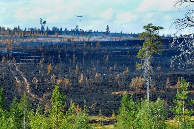 Wildfires have laid waste to at least 25,000 hectares (62,000 acres) in Sweden including 13,000 hectares in the central Karbole 