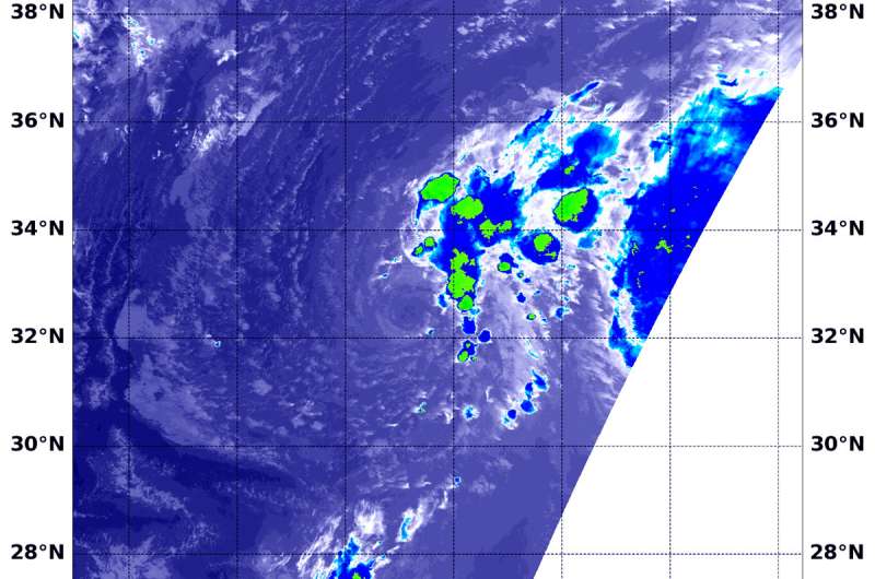 Wind shear affecting Tropical Storm Joyce in NASA-NOAA satellite image