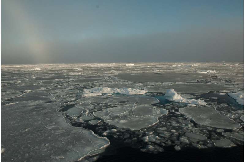 With thick ice gone, Arctic sea ice changes more slowly