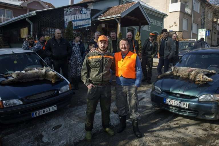 Wolf hunters Nikola Milincic (L) and Borica Vukicevic were successful during a recent hunt in Blace, a southern Serbian town, wh