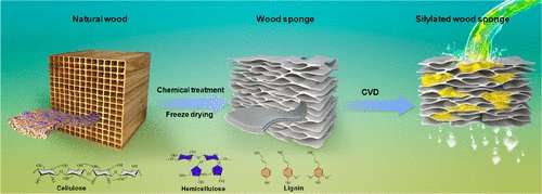 Wood sponge soaks up oil from water