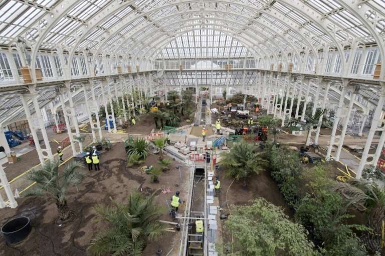 Work progresses inside the Temperate House during the final months of a five-year restoration project