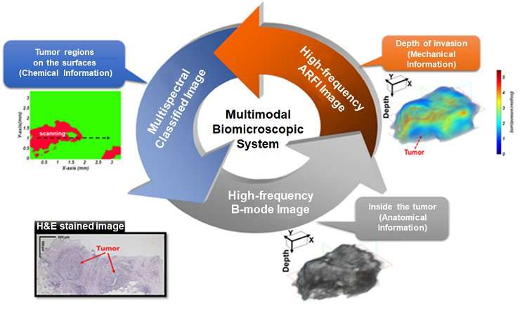 World first multimodal biomicroscopic system enhances the accuracy of cancer treatment
