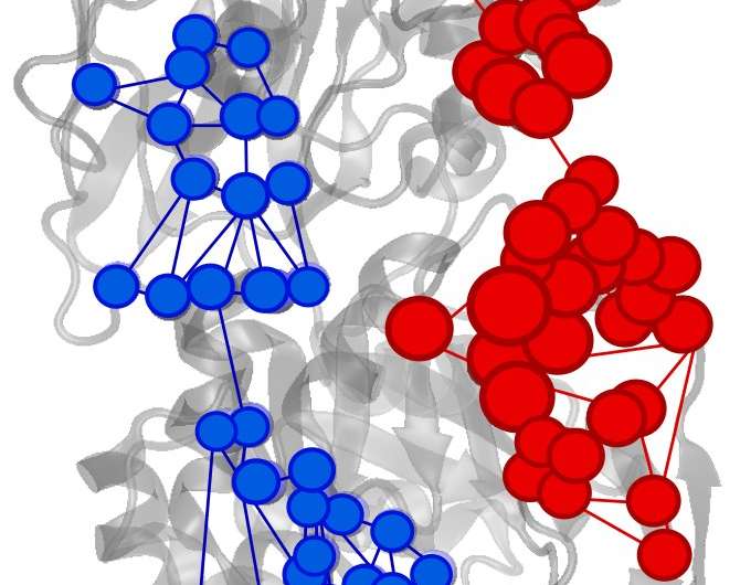 Yale chemists find a new tool for understanding enzymes -- Google