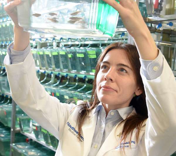 Zebrafish expose tumor pathway in childhood muscle cancer
