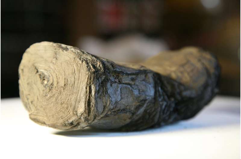 2000-year-old Herculaneum Scrolls from Institut de France studied at Diamond Light Source