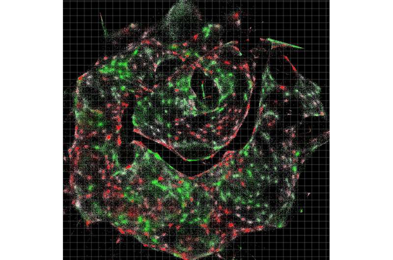 A chemical approach to imaging cells from the inside