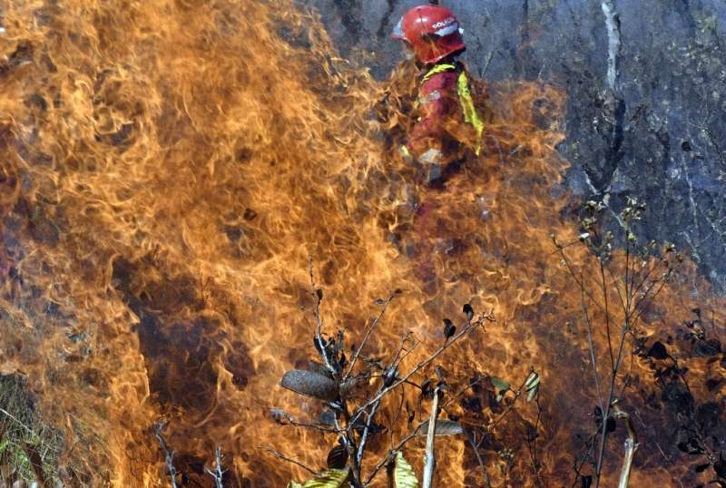 A firefighter tries to control a blaze near Charagua, Bolivia, in August 2019