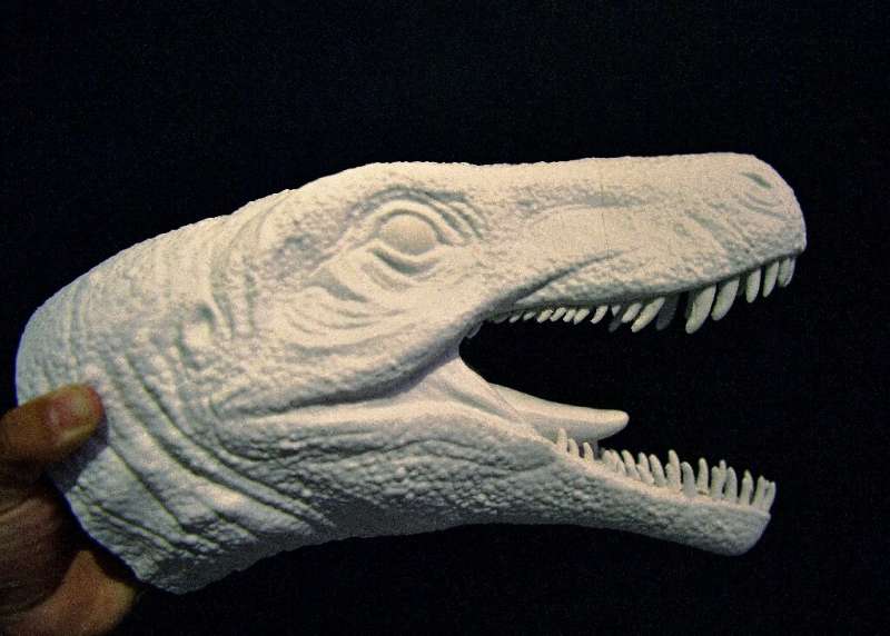 A foam model of the head of the Gnathovorax cabreirai is seen here—the dinosaur was the dominant creature of the Triassic period