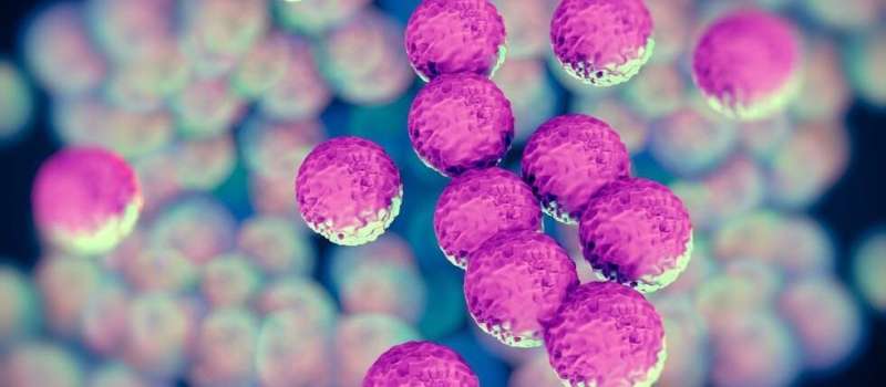 AI-powered 'knowledge engine' a game-changer for antibiotic resistance