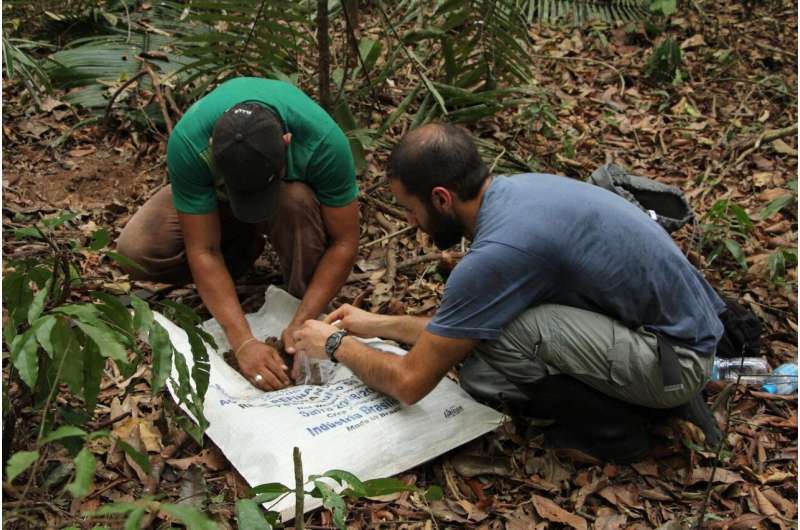 Amazonian soils mapped using indicator species