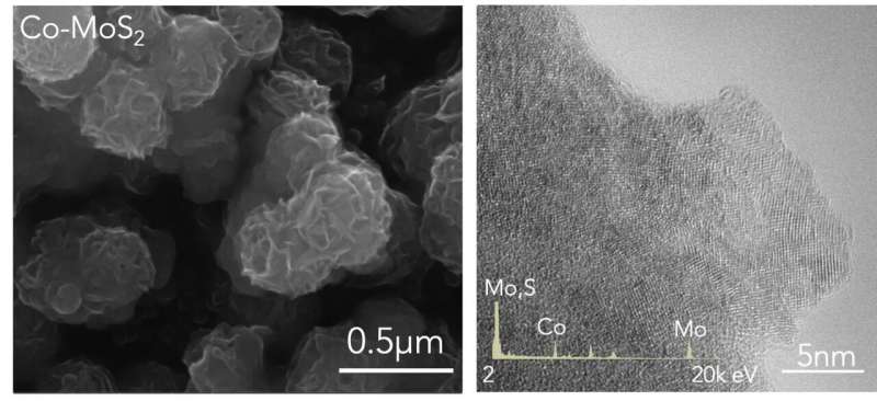 Ammonia synthesis made easy with 2D catalyst