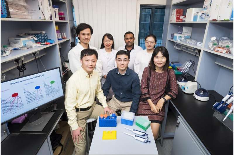 A new CRISPR-Cas9 protein to increase precision of gene editing