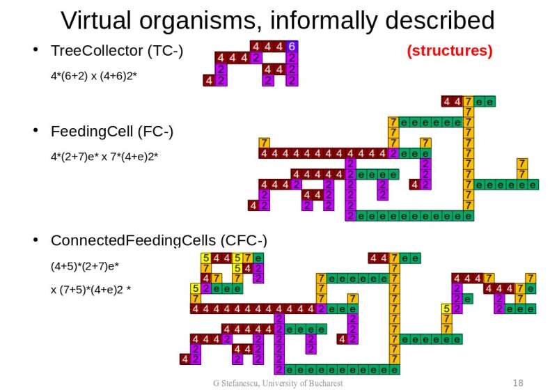 **A new model introduces the concept of adaptive virtual organisms (VOs)