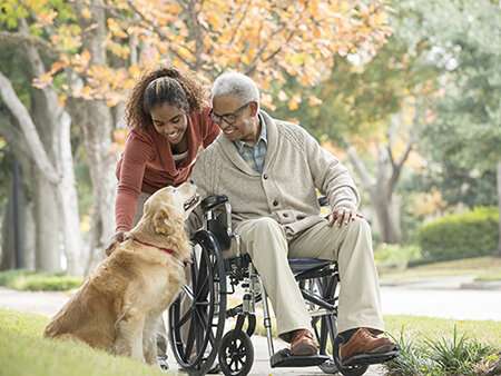 Animal-assisted therapy aids in spinal cord injury recovery